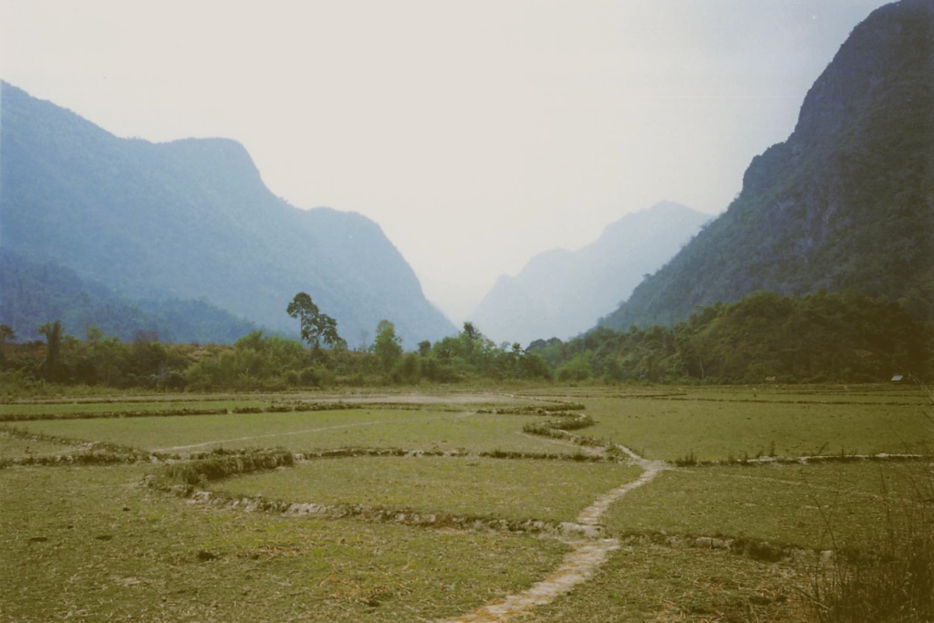 Rizière près de Muang Ngoi 